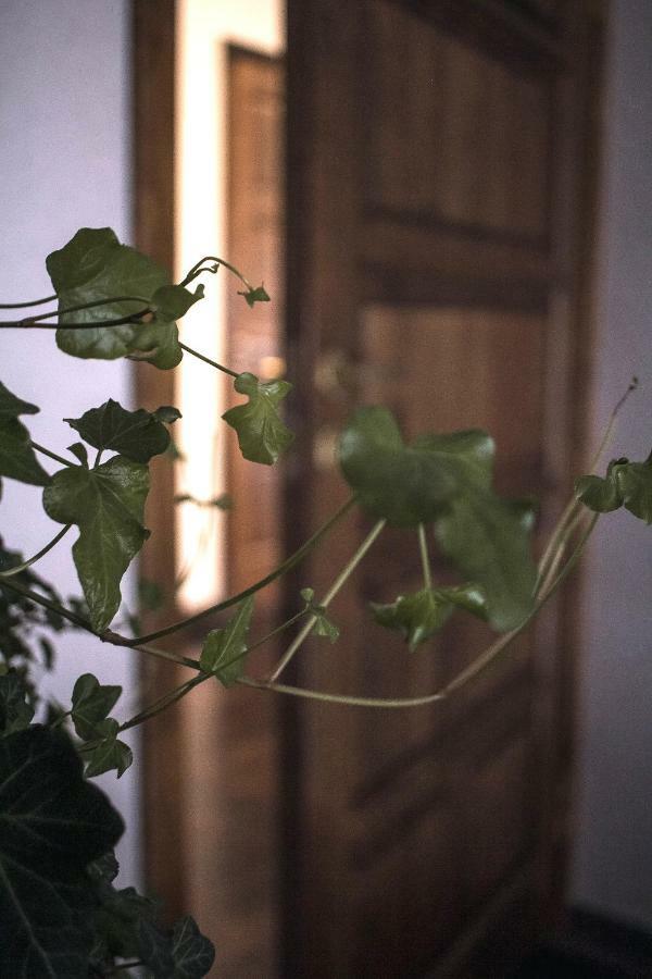 Ventspils Centra Apartamenti Εξωτερικό φωτογραφία
